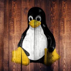 Le migliori distribuzioni Linux [2021]